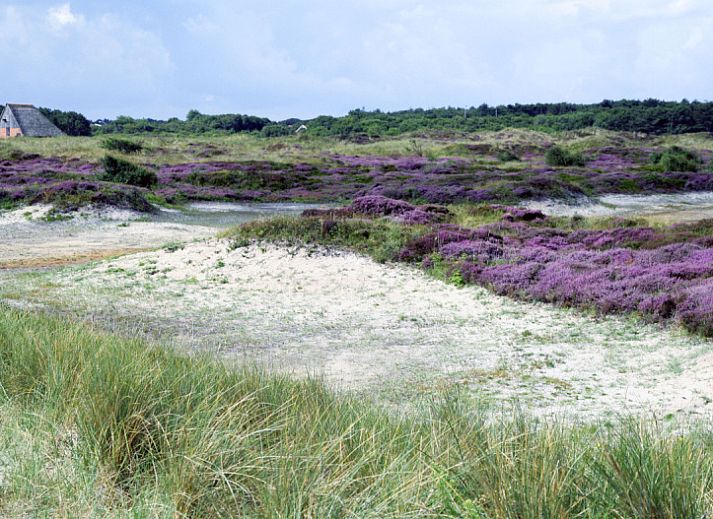 Verblijf 010253 - Vakantiewoning Texel - Stappeland - De Kemphaan