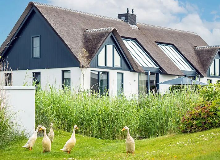 Unterkunft 0102554 - Ferienhaus Texel - Luxe Familievilla 1-12 personen