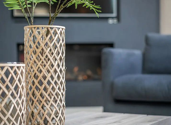 Unterkunft 0102554 - Ferienhaus Texel - Luxe Familievilla 1-12 personen