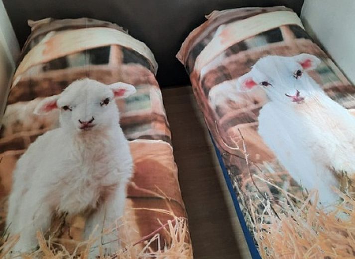 Spacious terrace of Apartment Dorpsstraat 245 in De Koog, Texel overlooking nature.