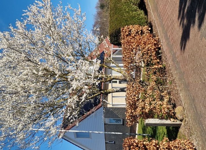 Verblijf 0102600 - Vakantiewoning Texel - Villa 8