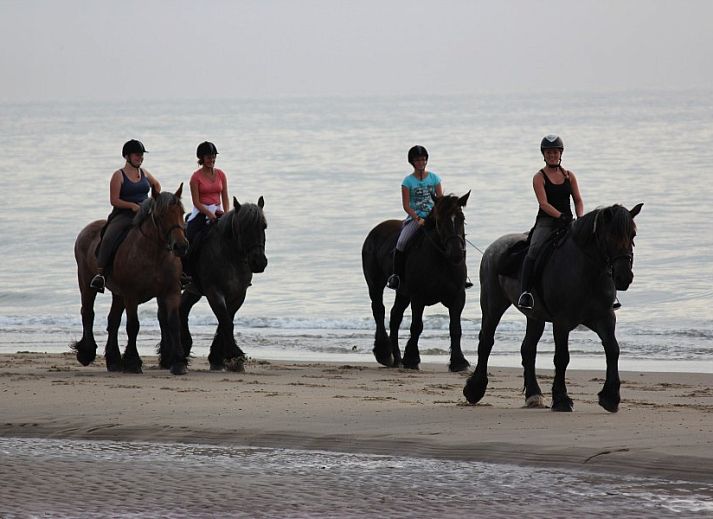 Esszimmer mit Holzofen im 6-Personen-Ferienhaus mit Sauna, De Koog, Texel