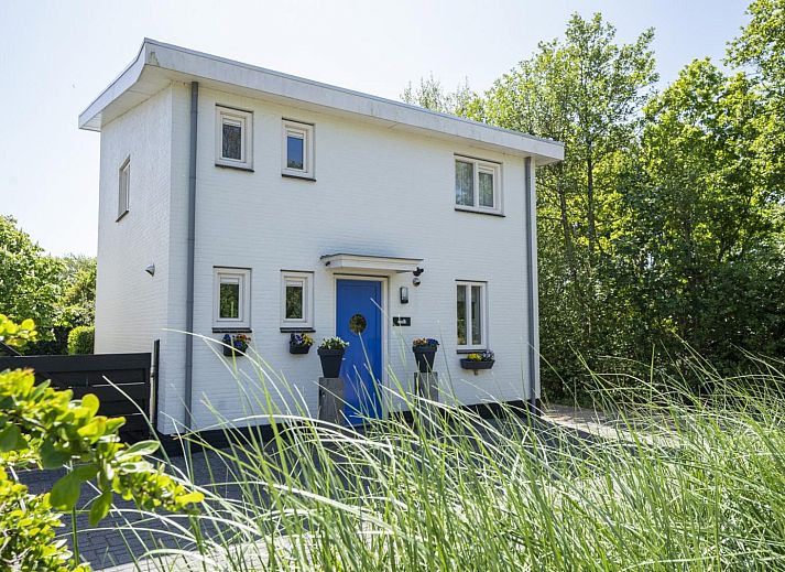 Guest house 0102632 - Holiday property Texel - Strandhuys Wulk