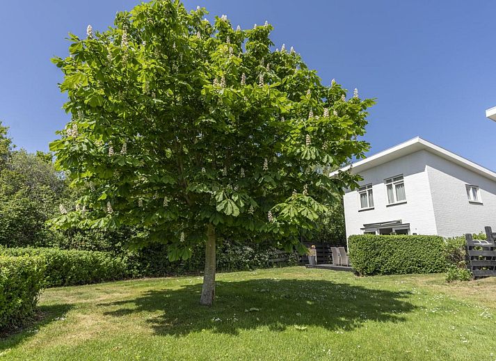 Guest house 0102632 - Holiday property Texel - Strandhuys Wulk