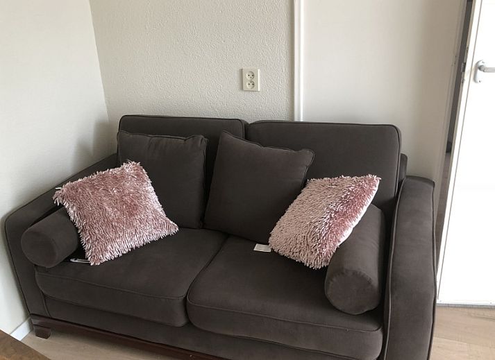 Guest house 010265 - Holiday property Texel - Kamerstraat 39