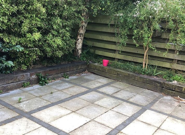 Guest house 010265 - Holiday property Texel - Kamerstraat 39