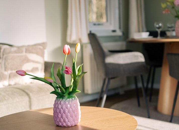 Bright living room in Chalet Bregkoog 24, De Koog, Texel, with comfortable chairs and large windows.