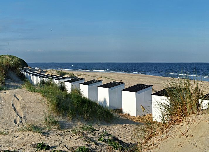 Guest house 0102696 - Holiday property Texel - Villa  Hoogelandt 10