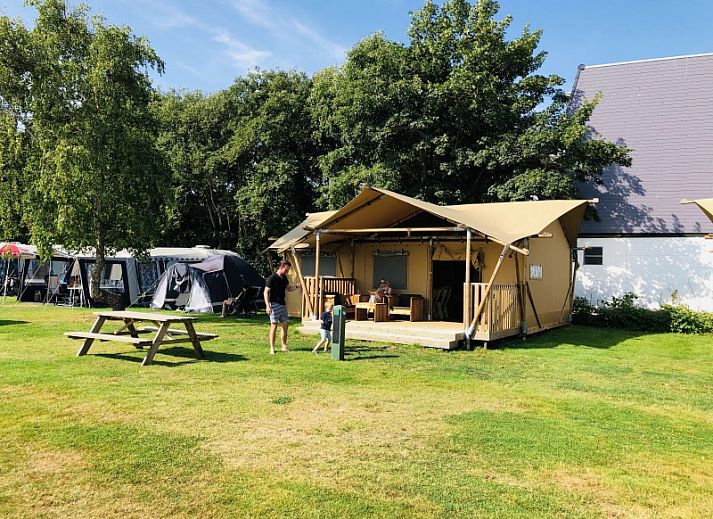 Unterkunft 010269 - Chalet Texel - Camping Coogherveld Texel