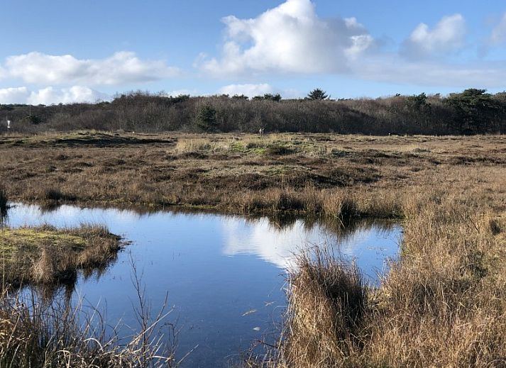Unterkunft 010269 - Chalet Texel - Camping Coogherveld Texel