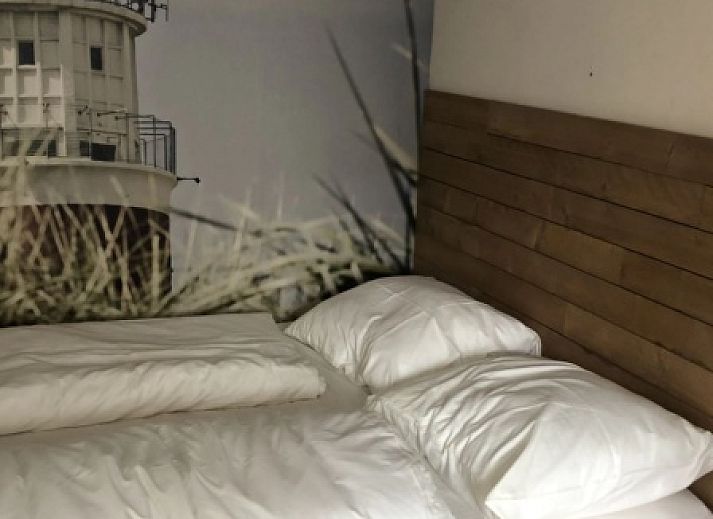 Guest house 0102700 - Holiday property Texel - Kamerstraat 39