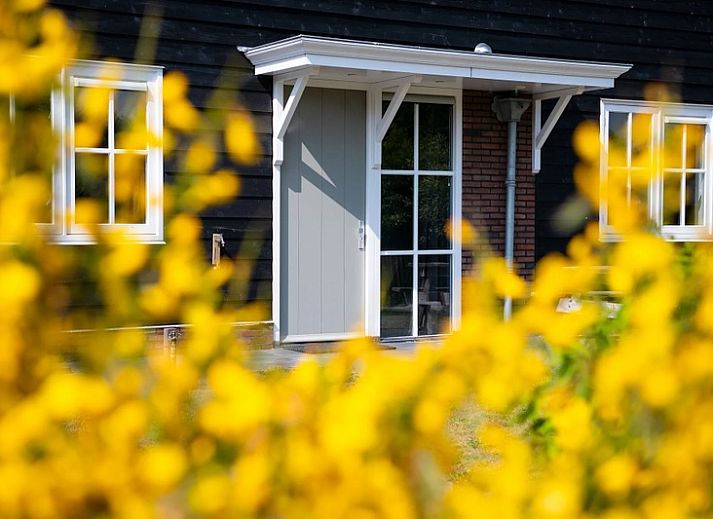 Charmant vakantiehuis Residence Rustiek in De Koog, Texel met zonnige tuin.
