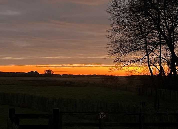Guest house 0102745 - Holiday property Texel - Koetshuis 1