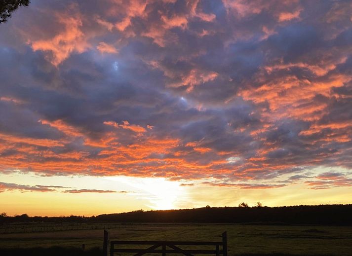 Side view of Duinrand Holiday Villas Type 1 in De Koog Texel with flowering garden.