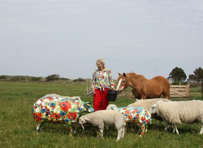 Gezellige binnenruimte van Texel Villa Duinzicht in De Koog, Texel met zonlicht en houten vloer.