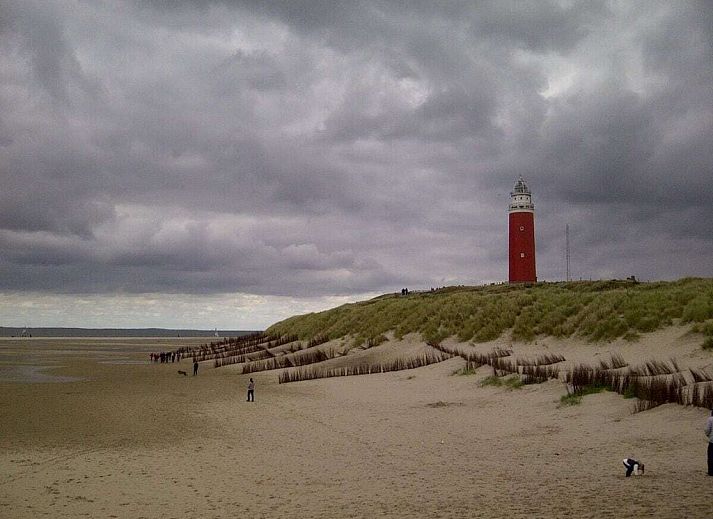 Unterkunft 0102932 - Bungalow Texel - 110876