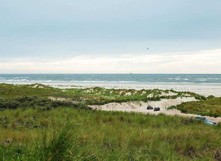 Guest house 0102946 - Holiday property Texel - De Koog nr 6 tm 10- 6 pers woning de luxe