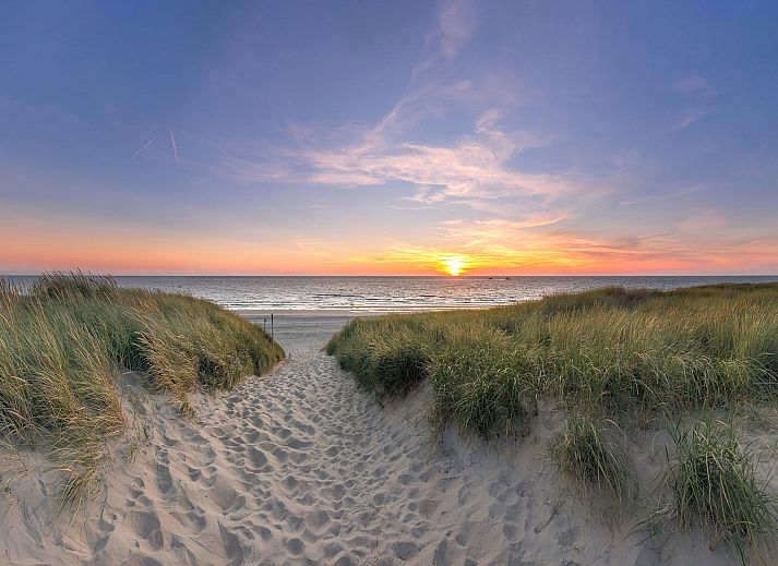 Guest house 0102949 - Holiday property Texel - So What 19