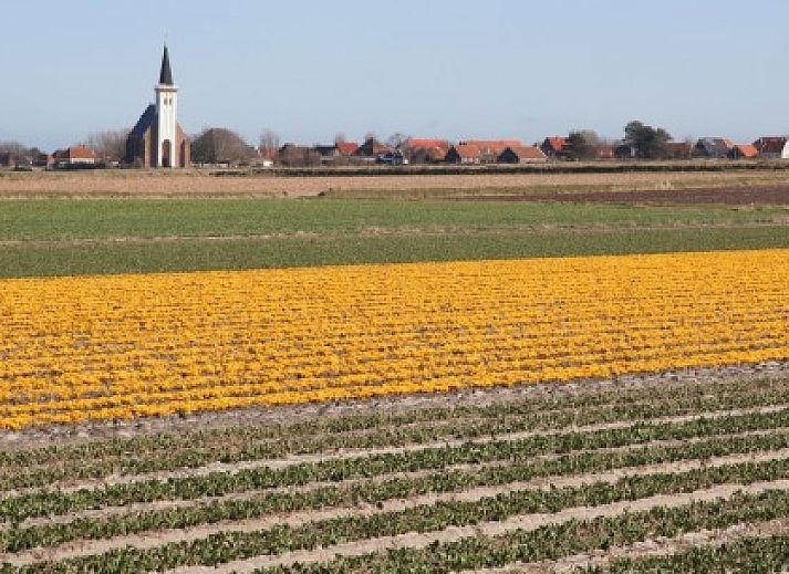 De Kemphaan: Bungalow in De Waal, Texel met zonnig terras en groene tuin voor ontspanning.