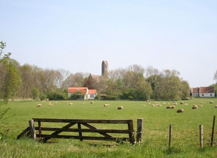 Gezellige keuken in De Kemphaan: Bungalow, De Waal, Texel met uitzicht op de tuin.