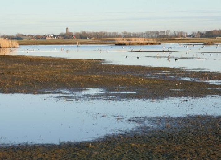 Gezellige binnenruimte van De Kemphaan: Studio, appartement in De Waal, Texel, Waddeneilanden.