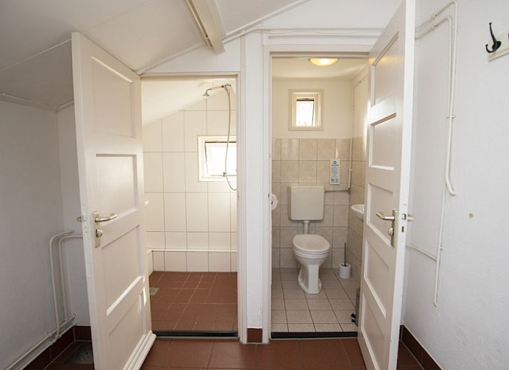 Sheep graze around Huisje Schiller - 4883, an idyllic vacation home in De Waal, Texel.