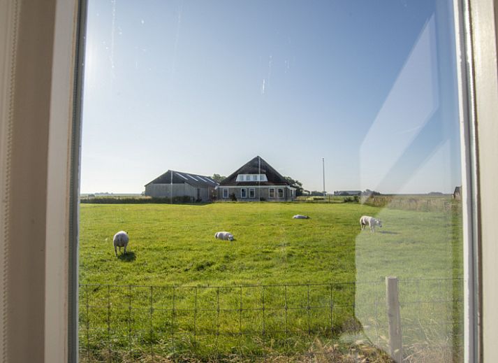 Cozy living room in Huisje Schiller - 4883, vacation home in De Waal, Texel with comfortable seating area.