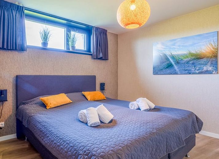 Guest house 010347 - Holiday property Texel - Huisje in De Waal
