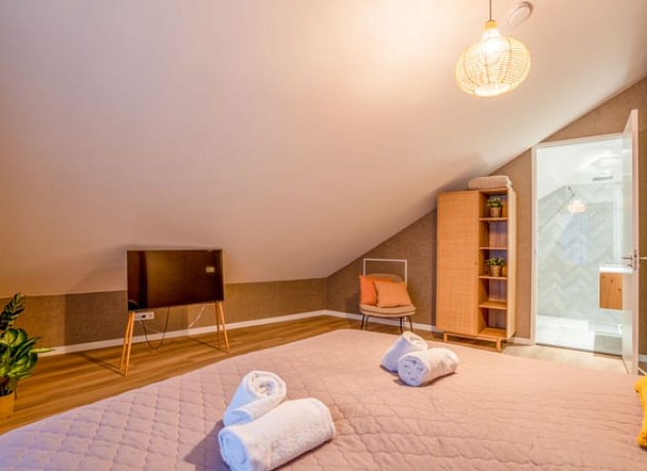 Guest house 010347 - Holiday property Texel - Huisje in De Waal