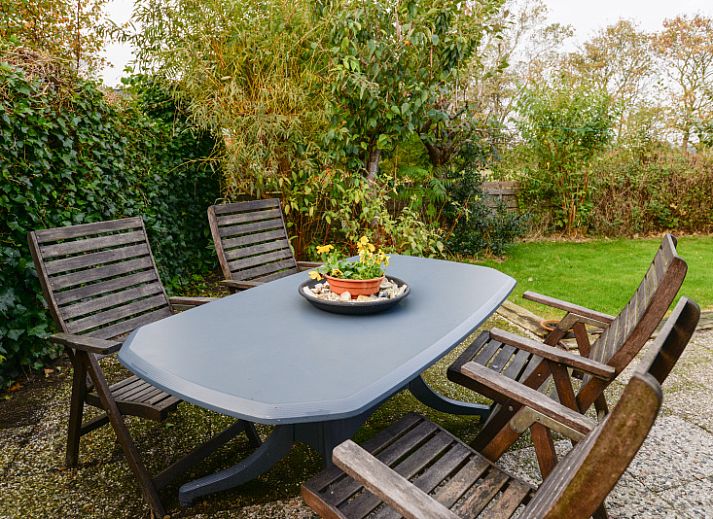 Guest house 010403 - Holiday property Texel - 7800 - De Kikker