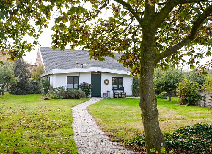 Guest house 010403 - Holiday property Texel - 7800 - De Kikker