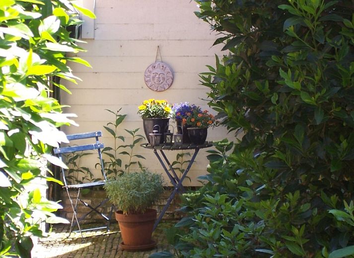 Guest house 010404 - Holiday property Texel - Bungalow De Tuinfluiter