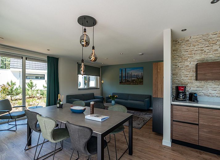 Braunweihe-Ferienhaus in Den Burg Texel mit moderner Architektur und gruener Umgebung.