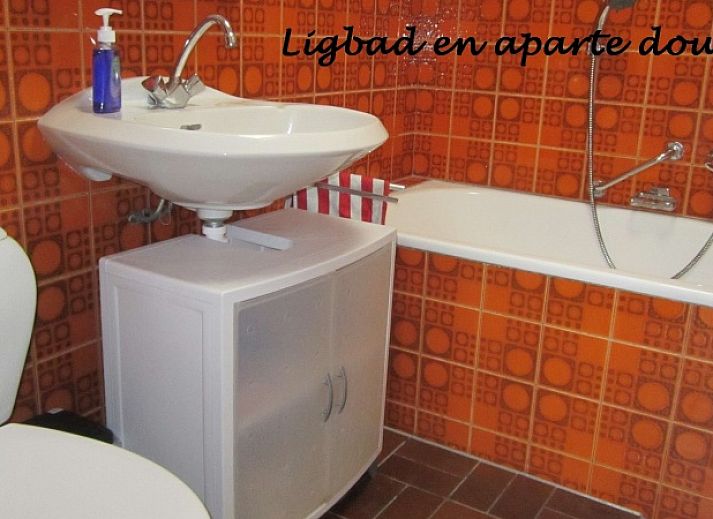 Geniet van de zonnige tuin bij Gastvrij vakantiehuis in Den Burg, Texel, perfect voor ontspanning op de Waddeneilanden.