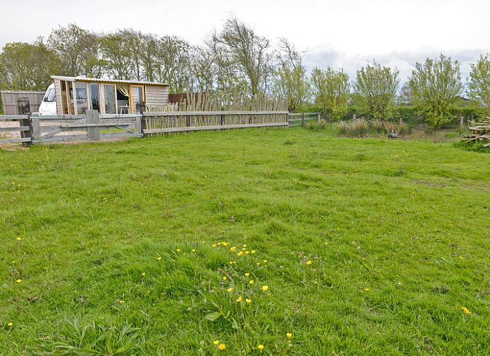 Unterkunft 0104107 - Ferienhaus Texel - Caravan Driehuizen