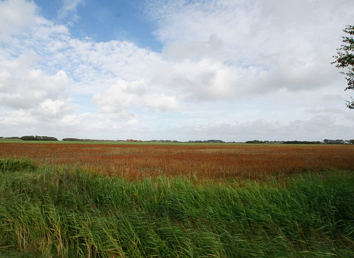 Unterkunft 0104108 - Ferienhaus Texel - Bungalow Waalenburg