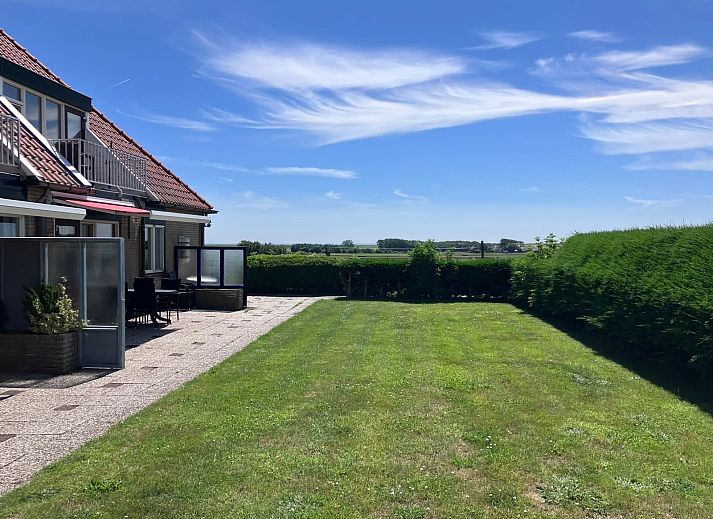 Schafe in der Naehe des NH200-Ferienhauses Den Burg Texel.