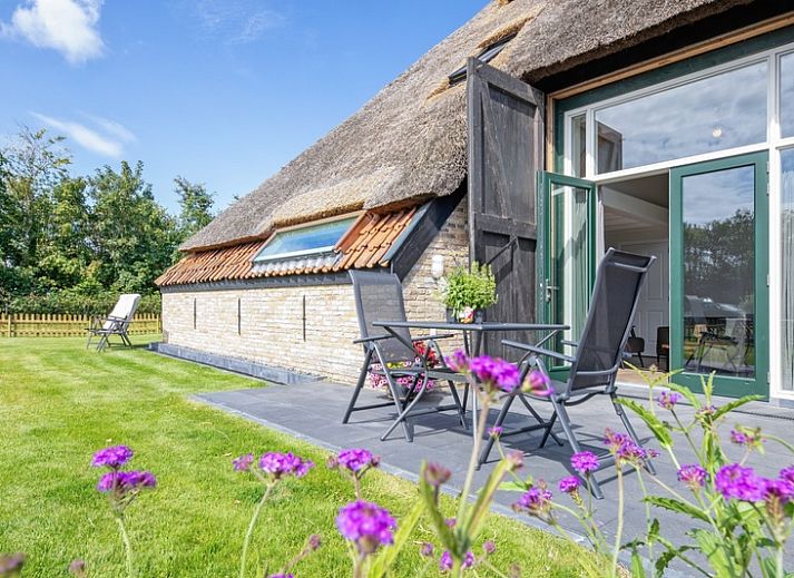 Guest house 0104128 - Holiday property Texel - Het Schaap
