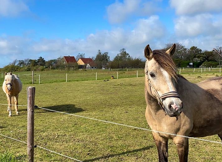 Ferienhaus in Den Burg, Texel mit Sonnenterrasse und Garten, ideales Feriendomizil auf den Watteninseln.