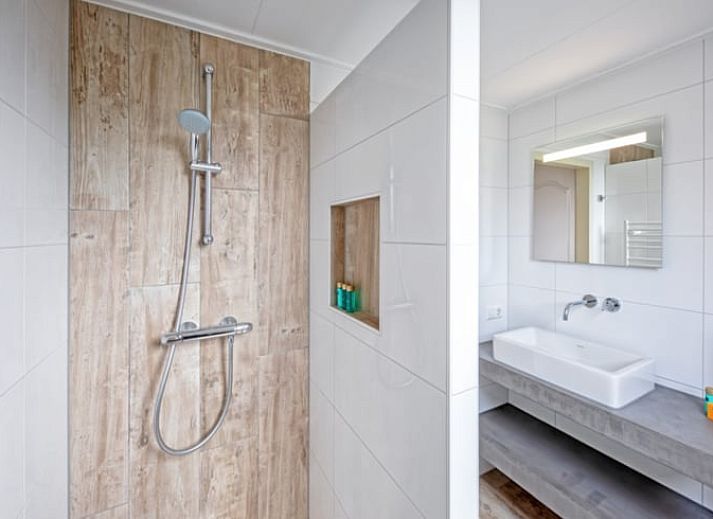 Niedliche Schweine im Huisje in Den Burg, Texel, Ferienhaus mit Bauernhoferfahrung auf den Watteninseln.