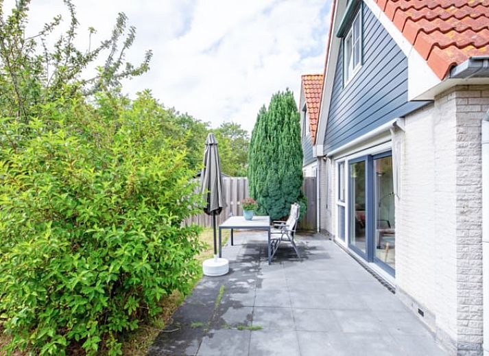 Niedliche Schweine im Huisje in Den Burg, Texel, Ferienhaus mit Bauernhoferfahrung auf den Watteninseln.