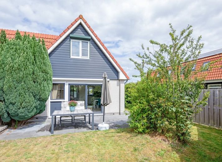 Niedliche Schweine im Huisje in Den Burg, Texel, Ferienhaus mit Bauernhoferfahrung auf den Watteninseln.