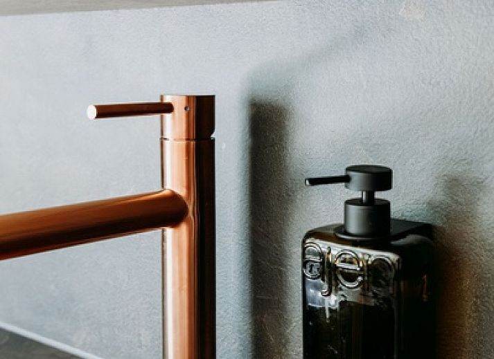 Guest house 0104142 - Holiday property Texel - Luxe Appartement 4p