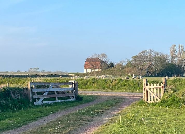 Charmantes Ferienhaus in Den Burg, Texel, mit traditioneller Architektur und umgeben von gruener Natur.