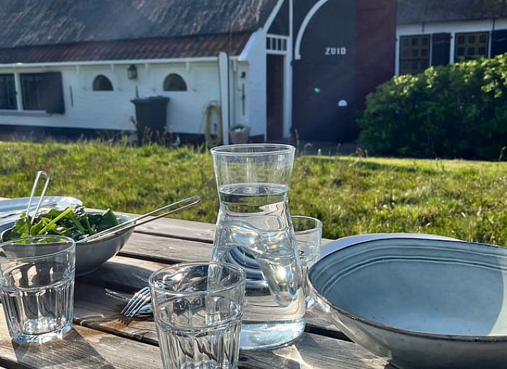 Charmantes Ferienhaus in Den Burg, Texel, mit traditioneller Architektur und umgeben von gruener Natur.