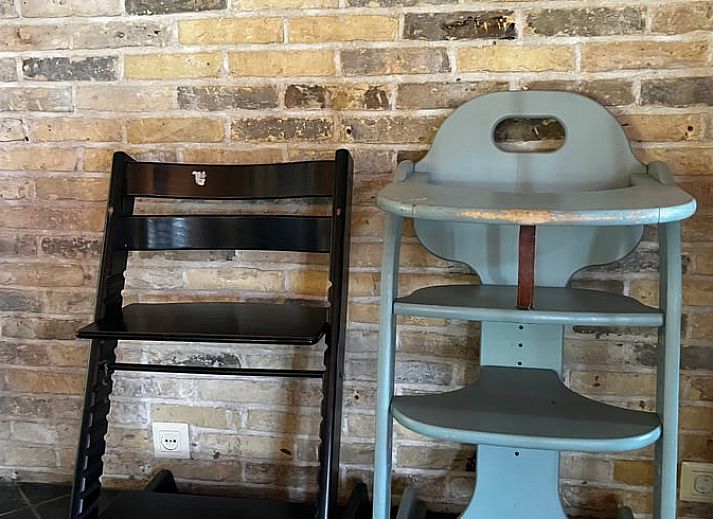 Detail des Ferienhauses in Den Burg, Texel, mit Reetdach und gruener Hecke an der Vorderseite.