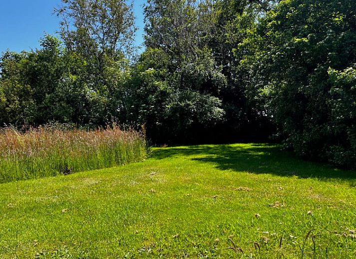 Charakteristische Fassade des Ferienhauses in Den Burg, Texel, mit Reetdach und authentischen Holztueren.