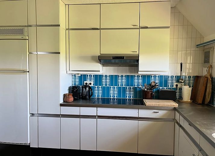 Charakteristische Fassade des Ferienhauses in Den Burg, Texel, mit Reetdach und authentischen Holztueren.