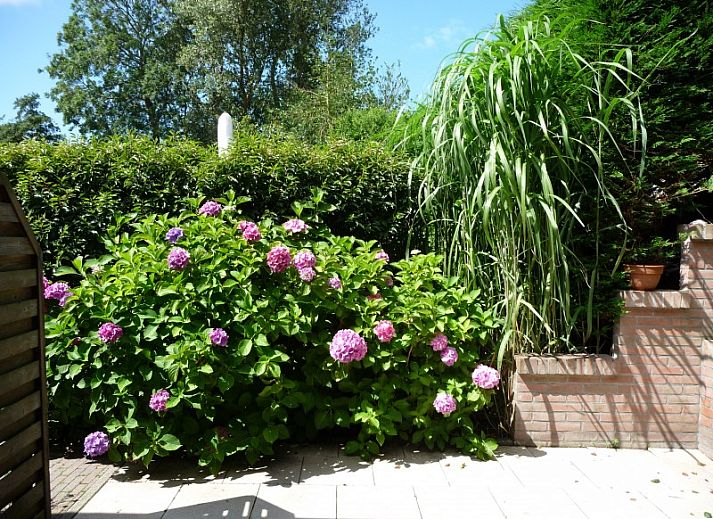 Family Smit bungalow in Den Burg Texel with colorful garden and floral splendor.