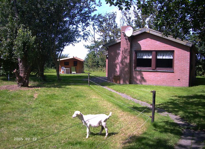 Unterkunft 0104152 • Ferienhaus Texel • Hoeve Ongeren
